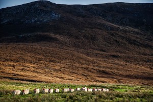 Ierland-6